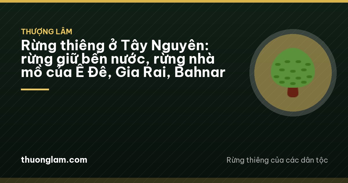Rừng thiêng ở Tây Nguyên: rừng giữ bến nước, rừng nhà mồ của Ê Đê, Gia Rai, Bahnar
